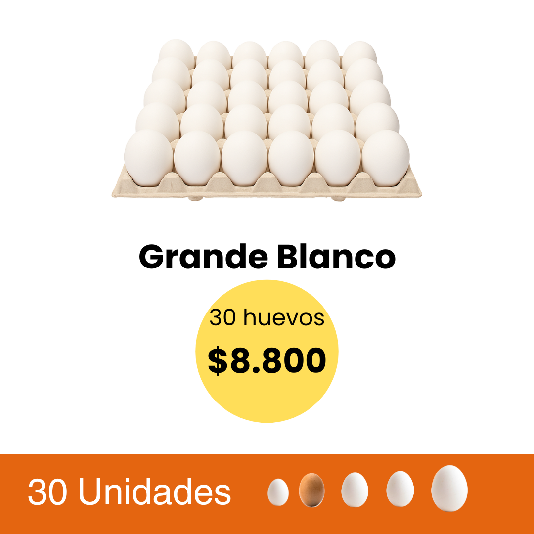 Huevos 30 Unidades Grande Blanco
