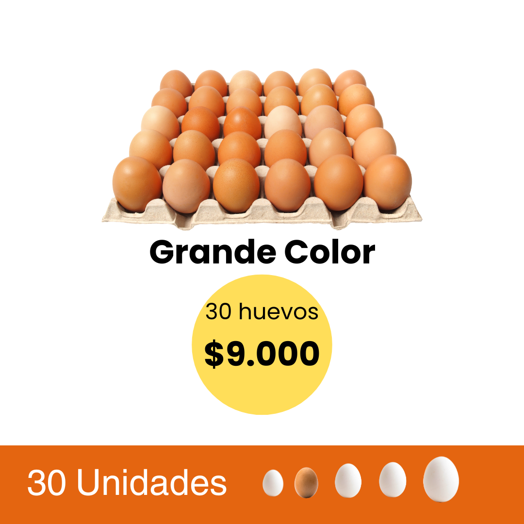 Huevos 30 Unidades Grande Color