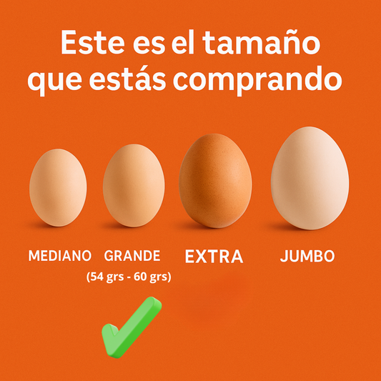 Pack de 60 Huevos grande color - Yemita ⭐ Recomendado