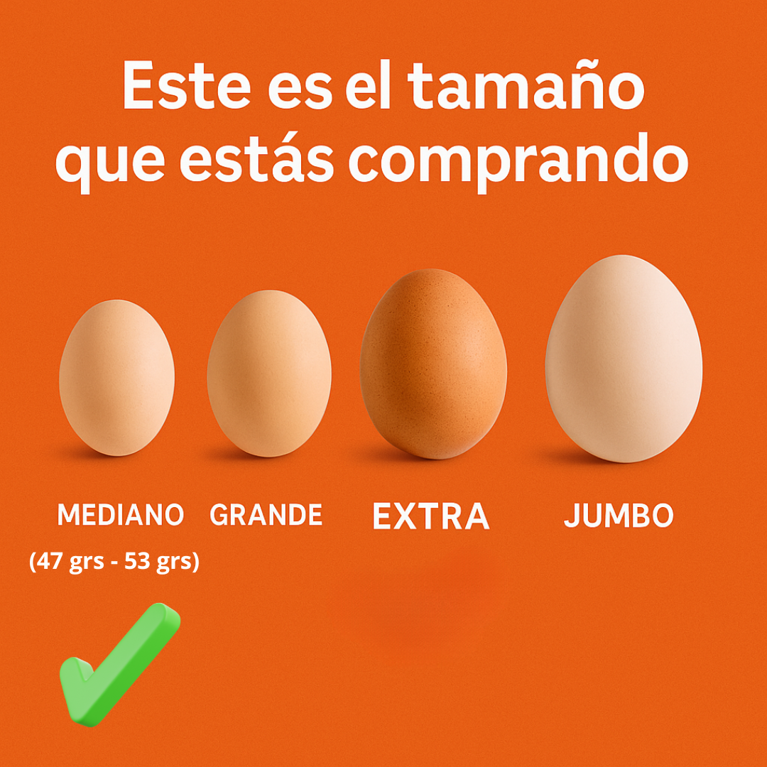 Pack 60 Huevos Mediano Blanco | Proteína Natural | Opción Económica - Yemita