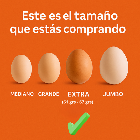 Huevos 30 Unidades Extra Color