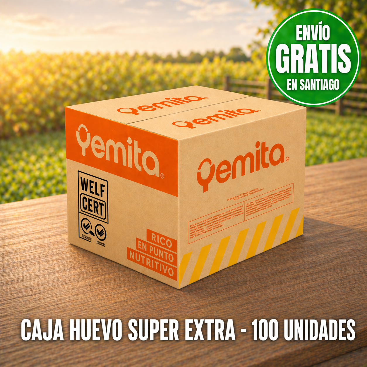 Caja 100 Huevos Súper Extra Blanco