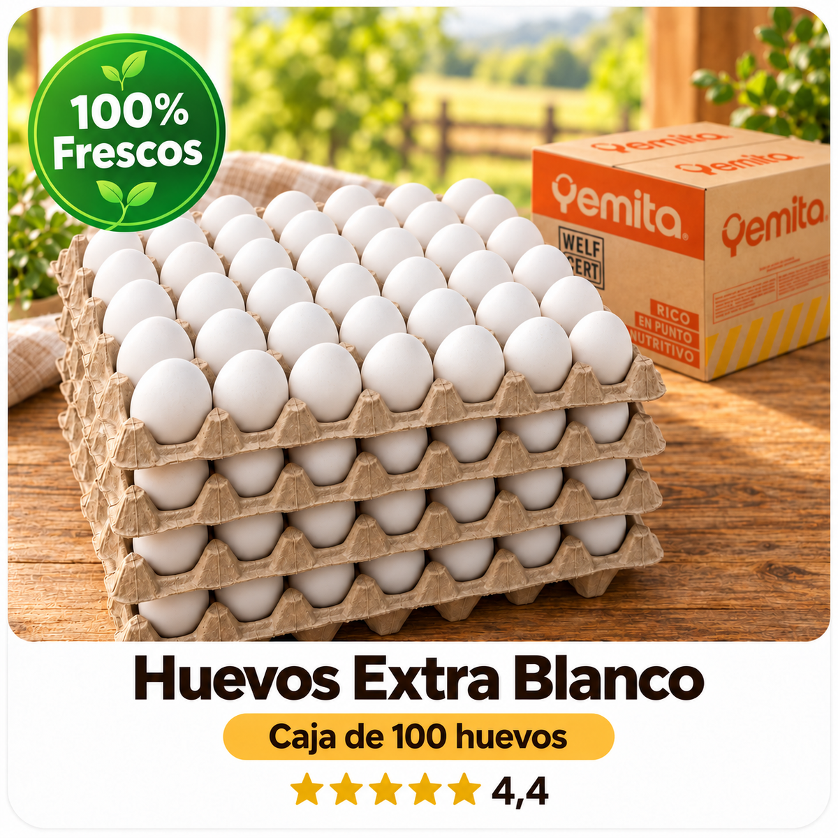 Caja 100 Huevos Extra Blanco