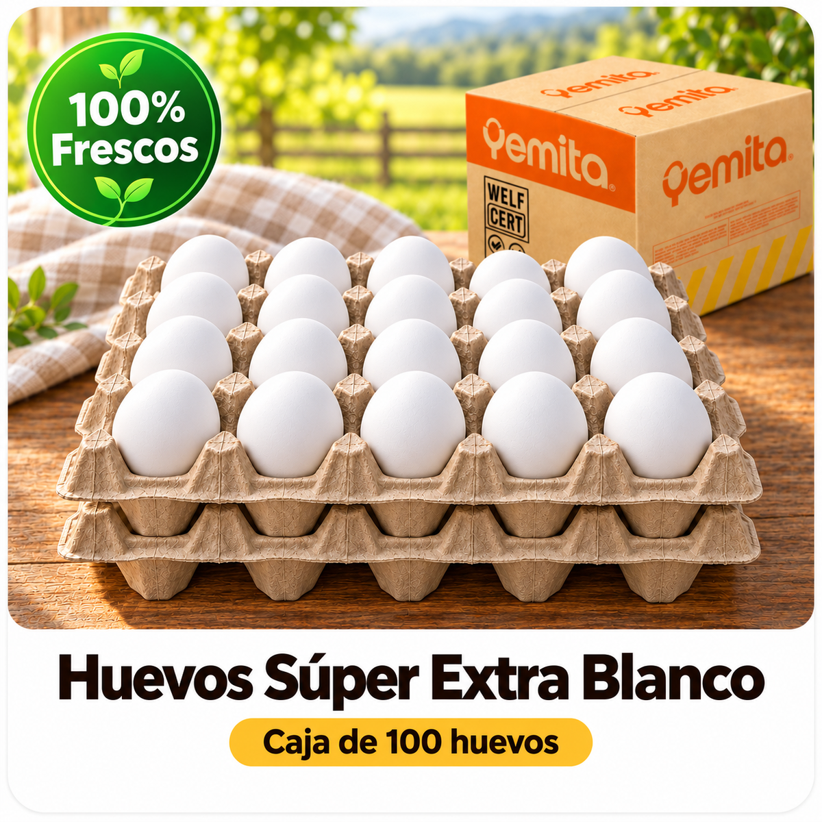 Caja 100 Huevos Súper Extra Blanco