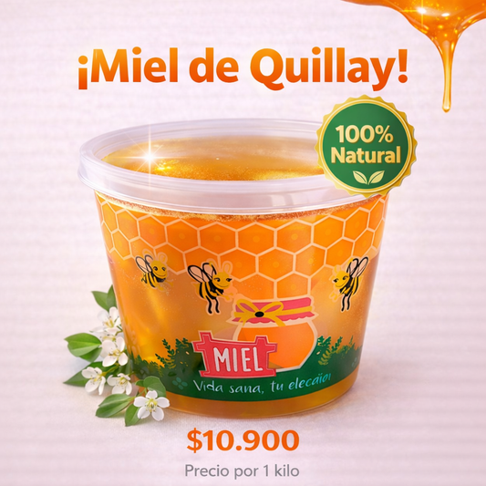 Miel de Quillay