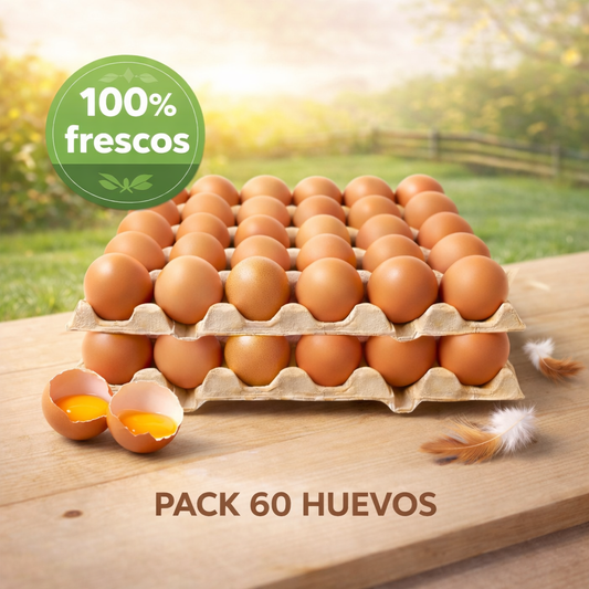 Pack de 60 Huevos grande color - Yemita ⭐ Recomendado