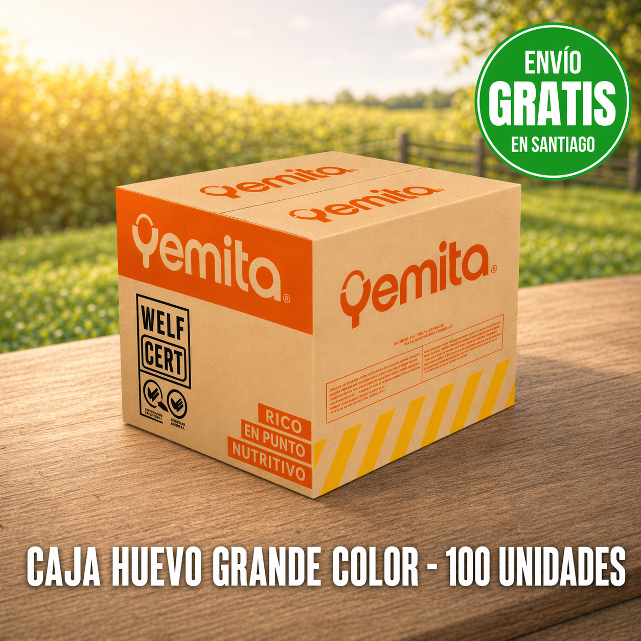 Caja 100 Huevos Grande Color | Alta Proteína | Calidad Premium - Yemita