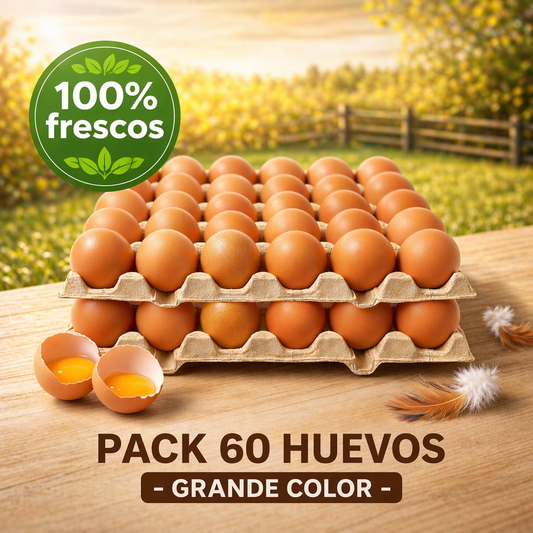 Pack 60 Huevos Grande Color | Proteína Natural | Selección Premium Yemita ⭐ Recomendado