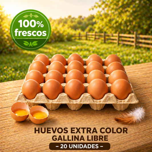 20 Huevos Gallina Libre | Proteína Natural | Libre Pastoreo Premium