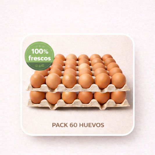 Pack de 60 Huevos grande color