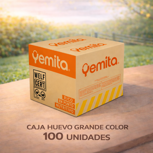 Caja huevos 100 unidades grande color - Yemita