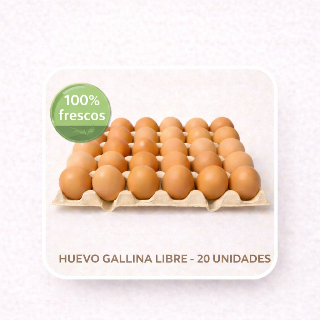 20 Huevos Gallina Libre | Proteína Natural | Libre Pastoreo Premium