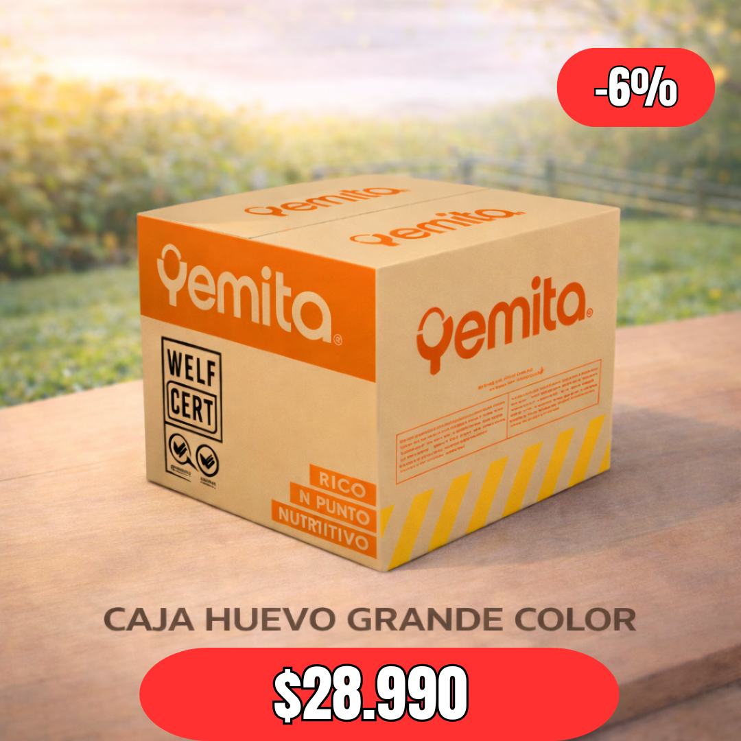 Caja 100 Huevos Grande Color | Alta Proteína | Calidad Premium - Yemita