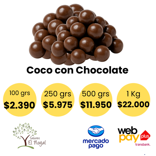 Coco con Chocolate a Granel