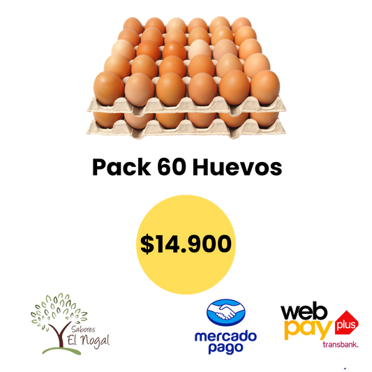 Pack de 60 Huevos grande color