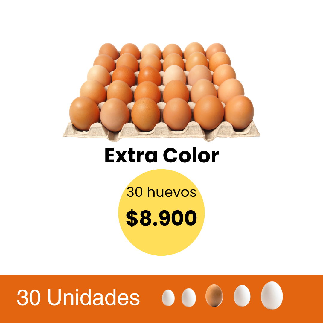 Huevos 30 Unidades Extra Color