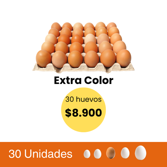 Huevos 30 Unidades Extra Color