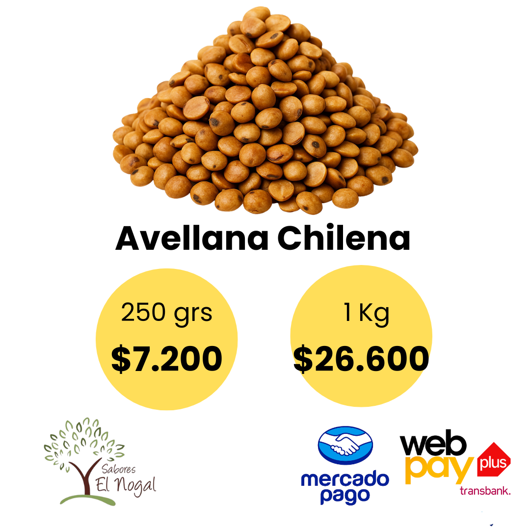 Avellana Chilena a Granel