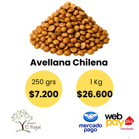 Avellana Chilena a Granel