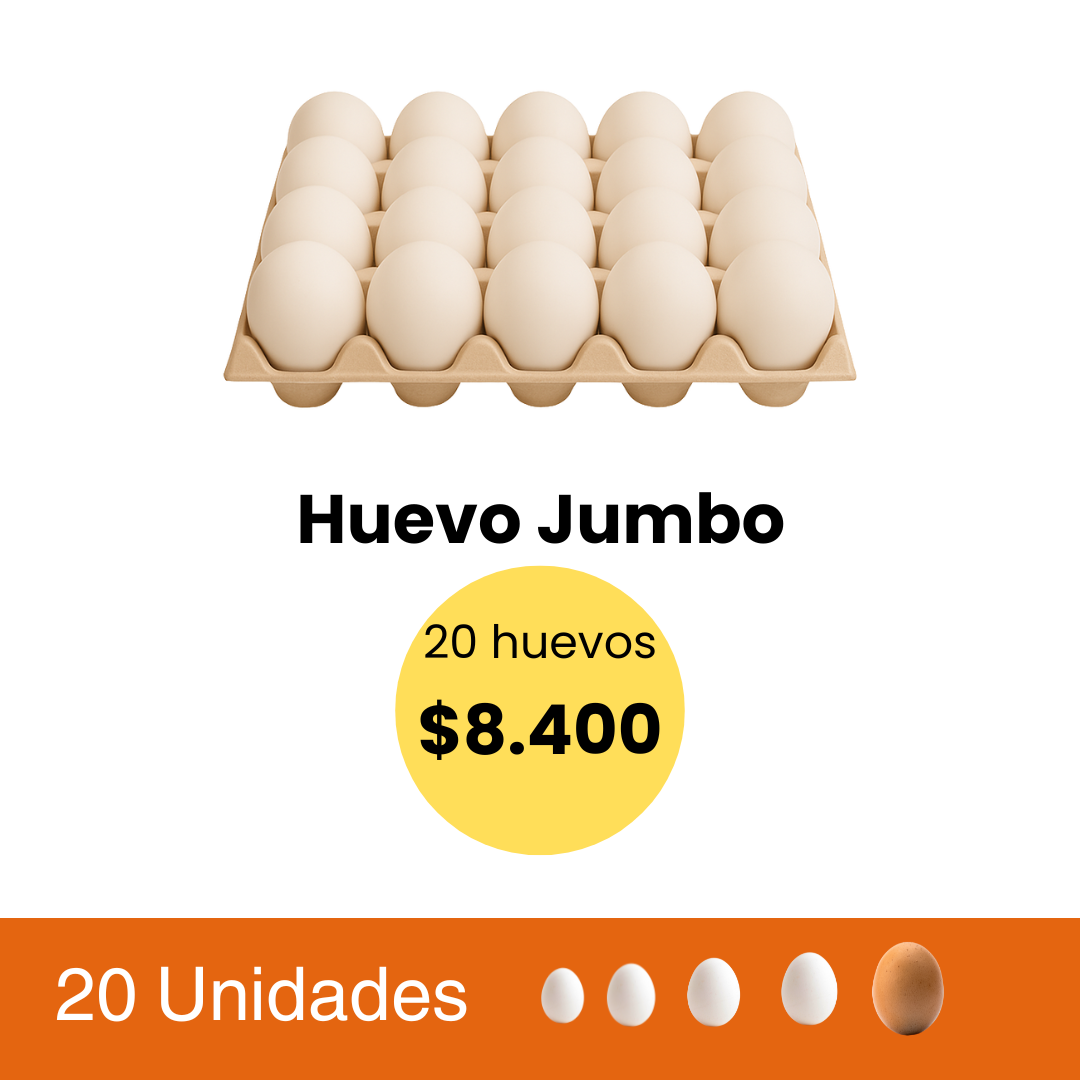 Huevo Jumbo 20 Unidaes