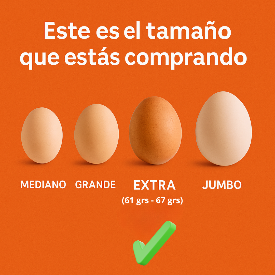 20 Huevos Extra Blanco | Proteína Natural | Frescos Premium - Yemita
