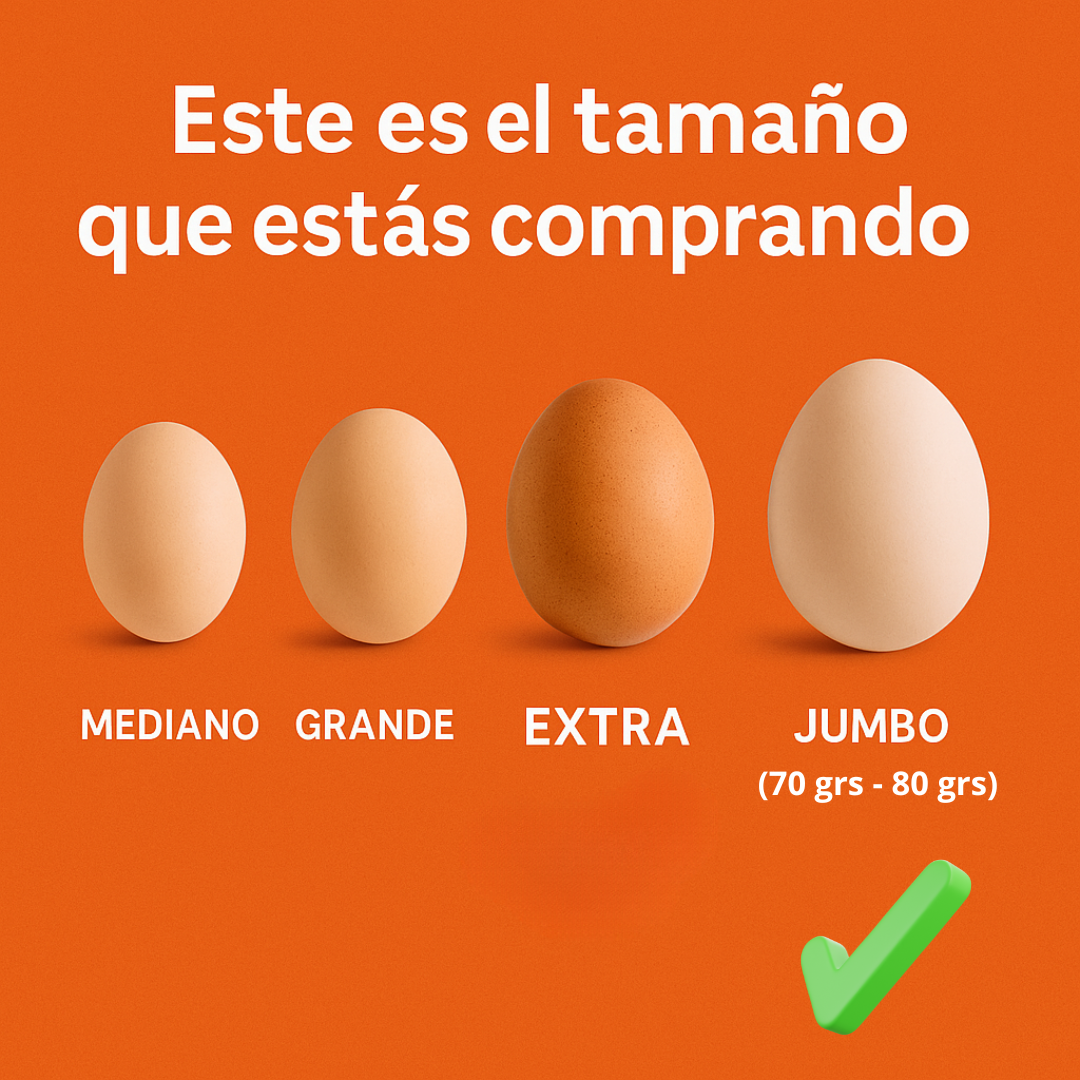 Huevo Jumbo 20 Unidaes