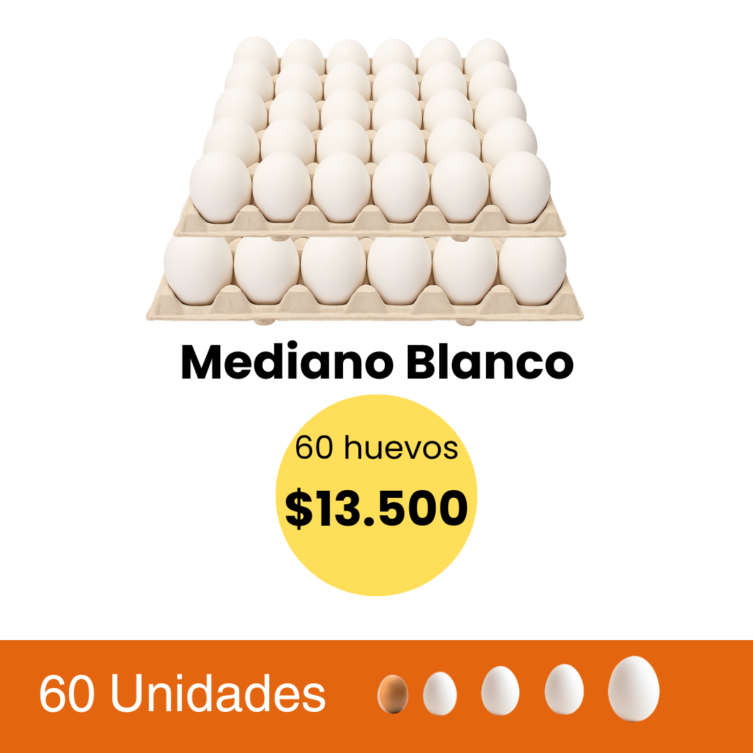Pack de 60 Huevos Mediano Blanco