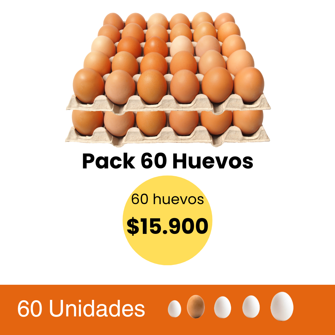 Pack de 60 Huevos grande color