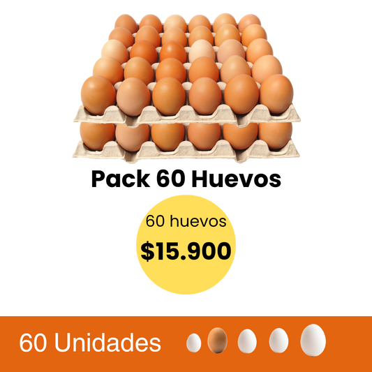 Pack de 60 Huevos grande color