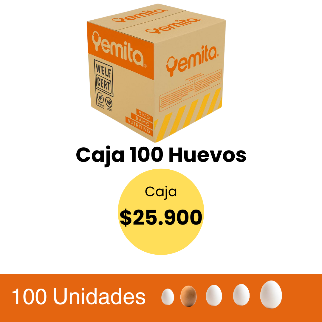 Caja huevos 100 unidades grande color