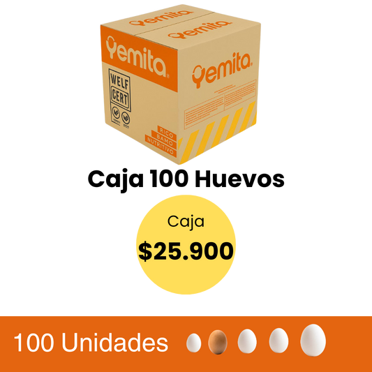 Caja huevos 100 unidades grande color
