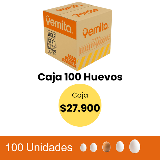 Caja huevos 100 unidades extra blanco