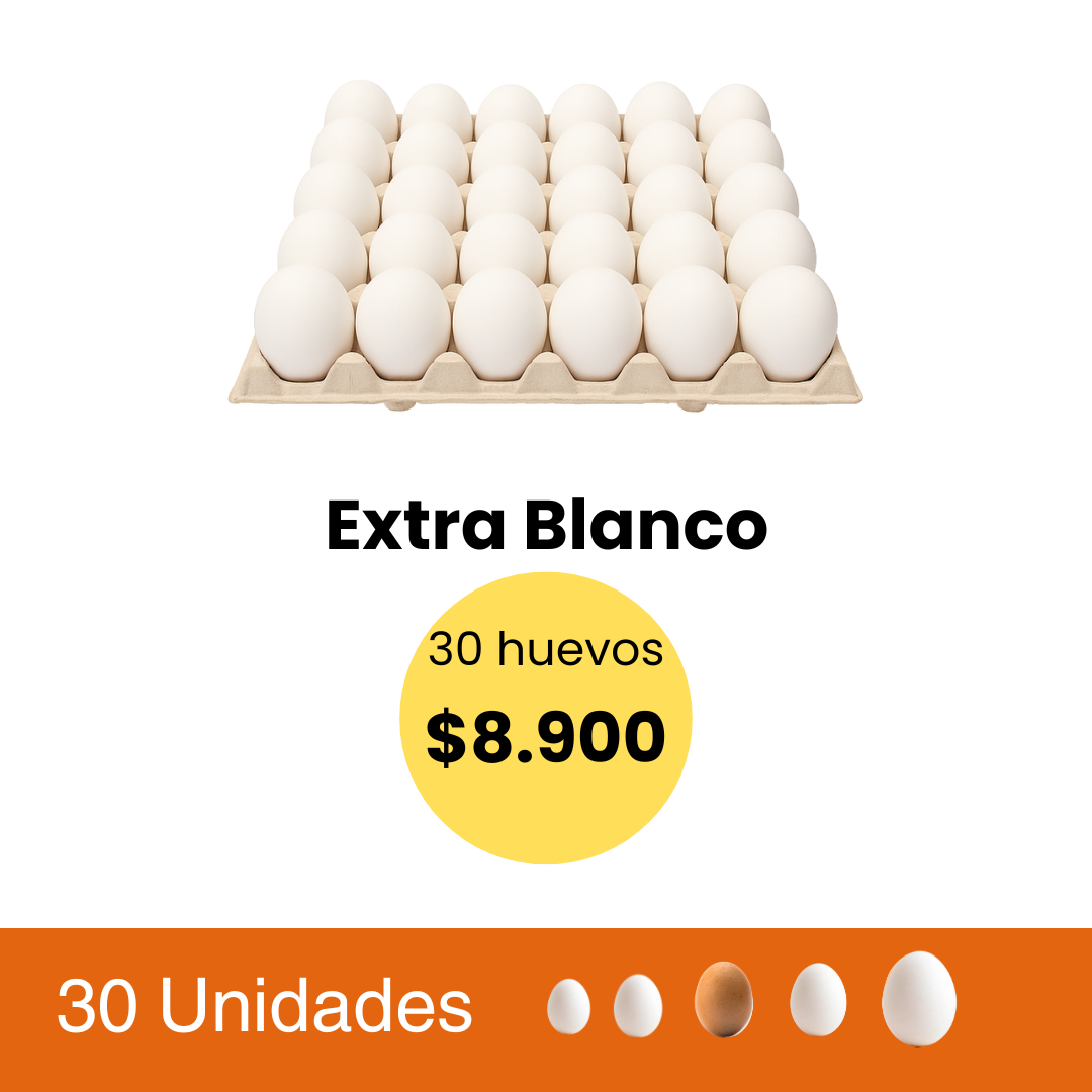 Huevos 30 Unidades Extra Blanco