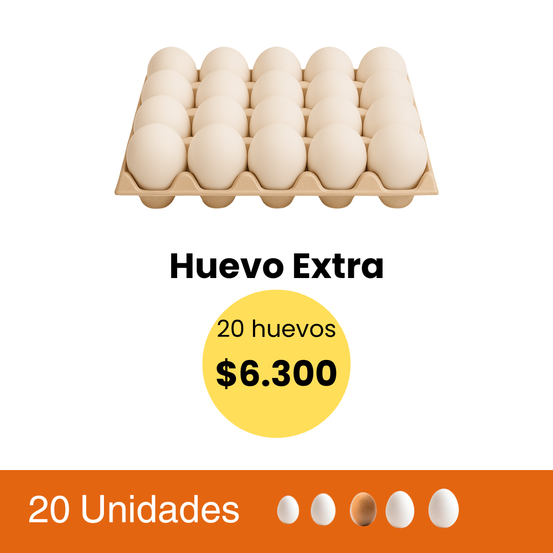 Huevos 20 Unidades Extra Blanco
