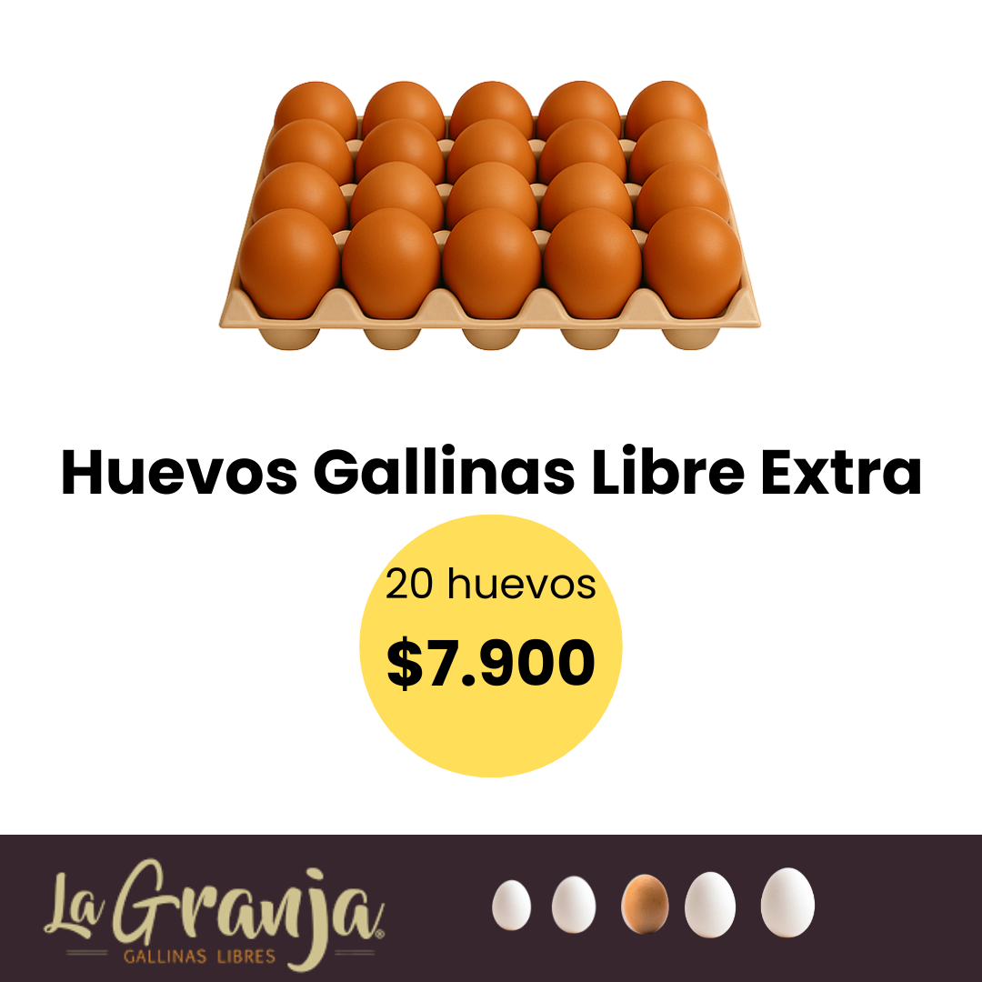 Huevos color gallina libre 20 unidades