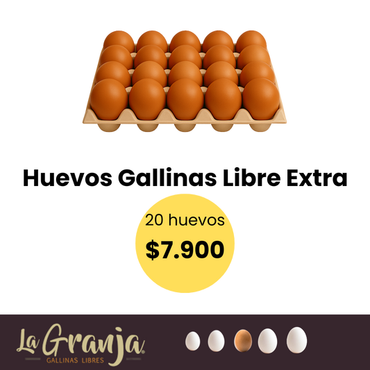 Huevos color gallina libre 20 unidades