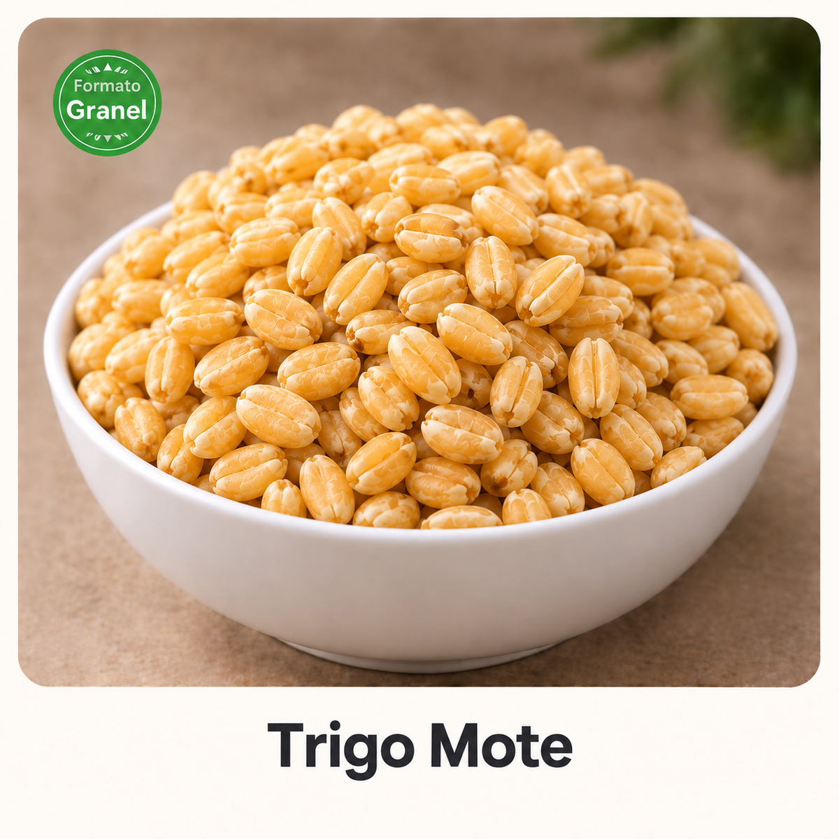 Trigo mote a granel